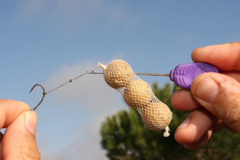 tehnici - sac-boilies-2.jpg